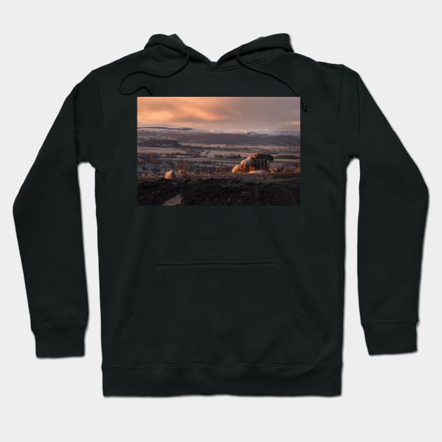 Sunrise over Stirling with Sheep Hoodie by TMcG72